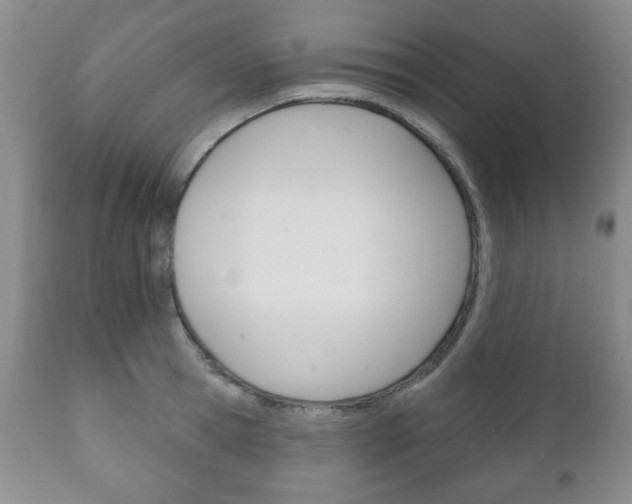 X0000111170945200907011005