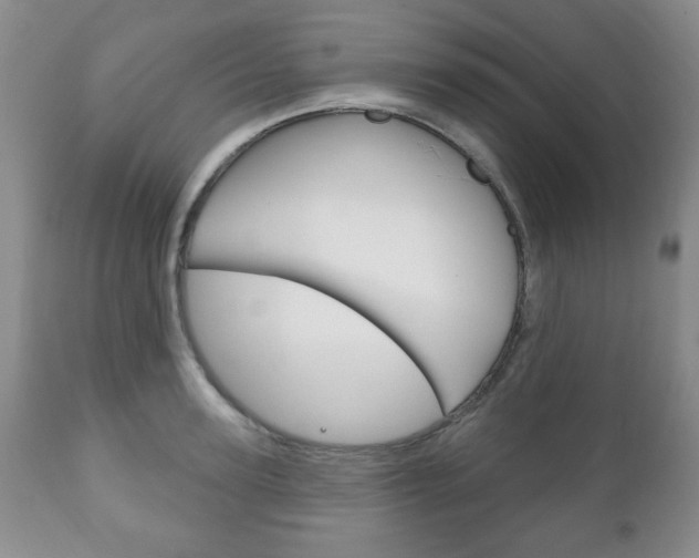 X0000111170947200907011005