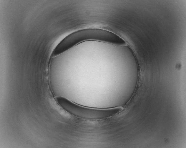 X0000111170948200907011005