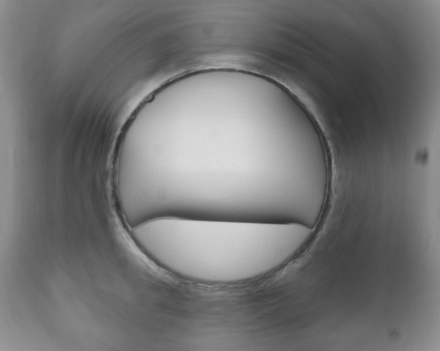 X0000111170949200907011005