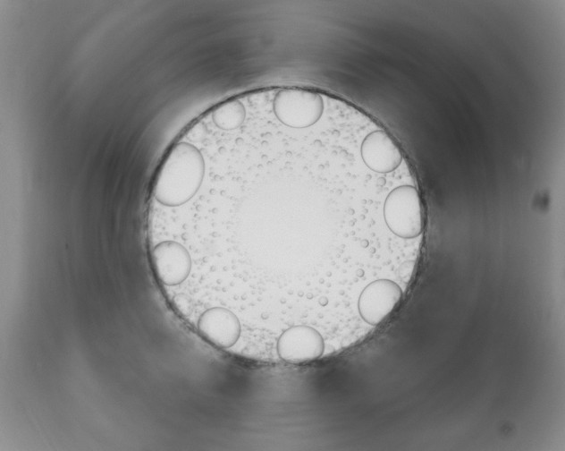 X0000111170950200907011005