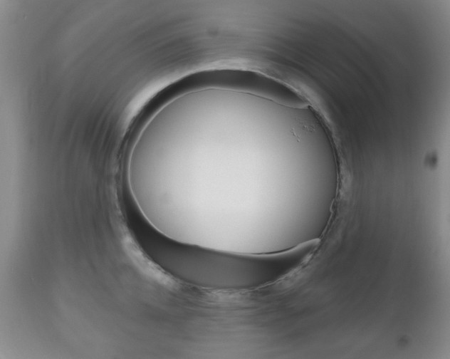 X0000111170952200907011005