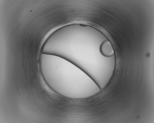 X0000111170955200907011005
