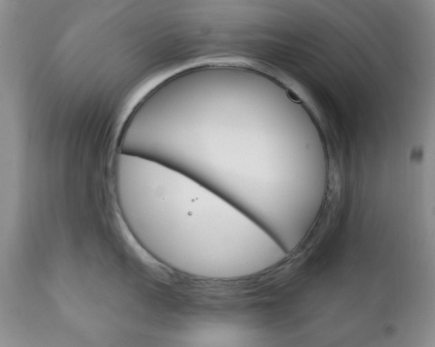 X0000111170959200907011005