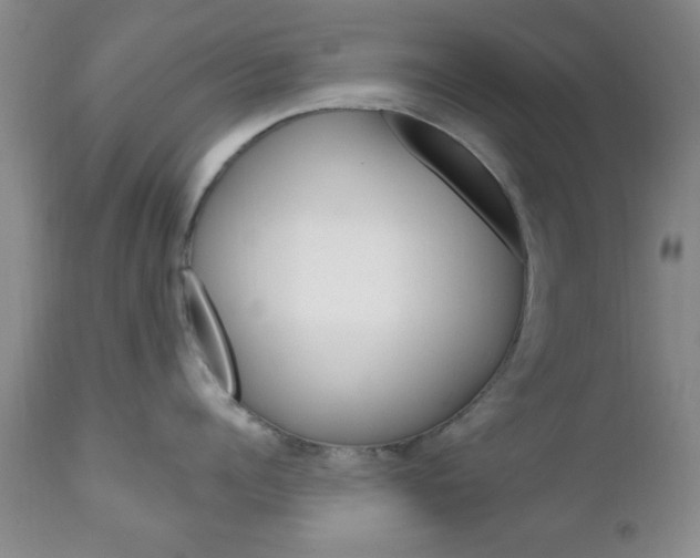 X0000111170960200907011005
