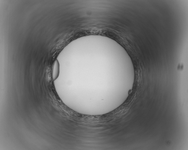 X0000111170962200907011004