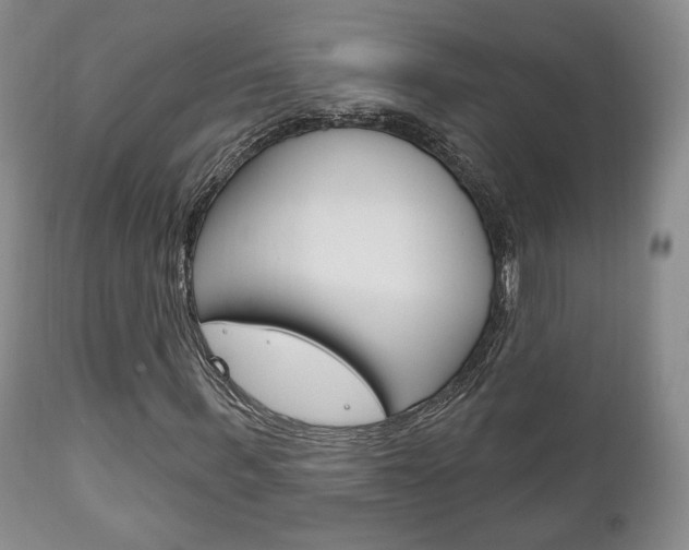 X0000111170963200907011004
