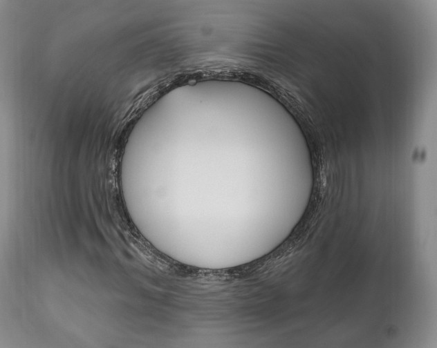 X0000111170964200907011004