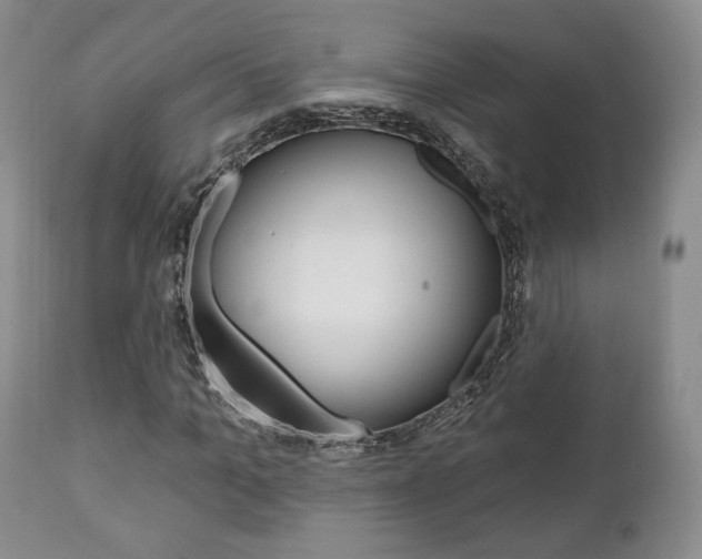 X0000111170965200907011004