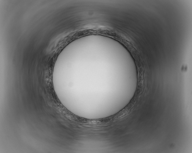 X0000111170966200907011004