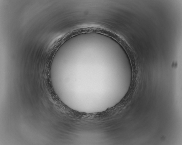 X0000111170967200907011004