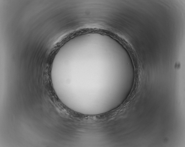 X0000111170968200907011004