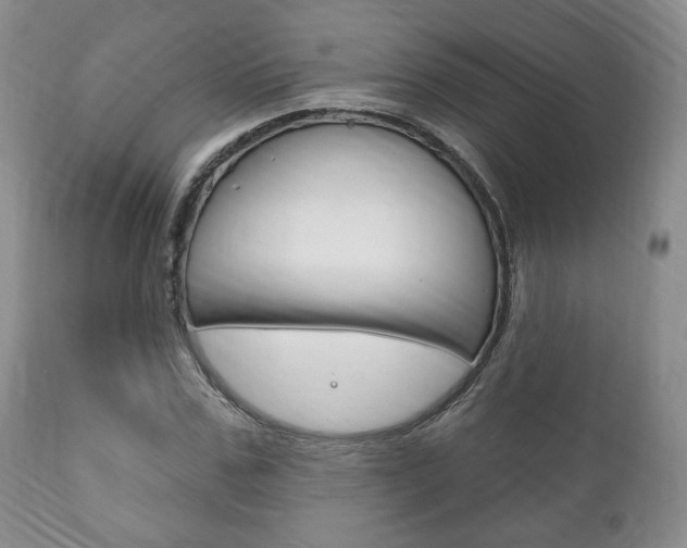 X0000111170971200907011004