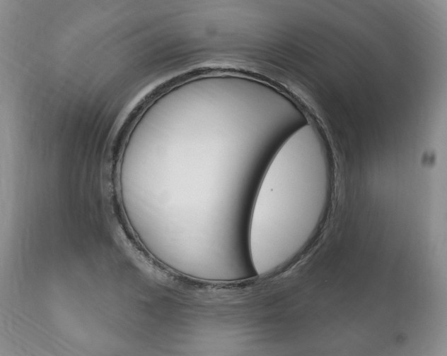 X0000111170976200907011004