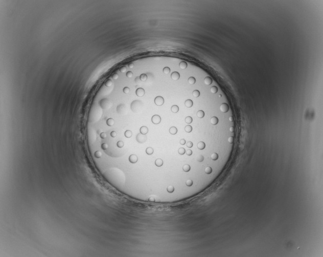 X0000111170978200907011004