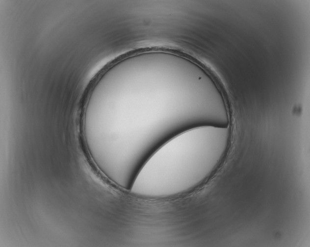 X0000111170983200907011004
