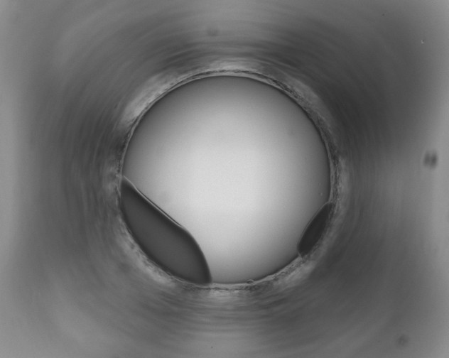 X0000111170985200907011004