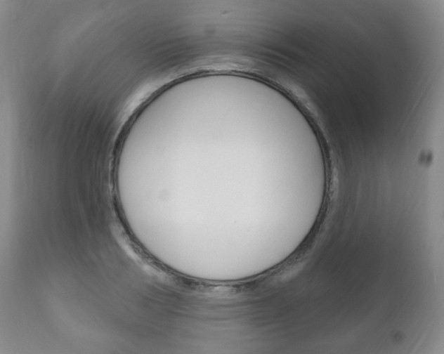 X0000111170986200907011004
