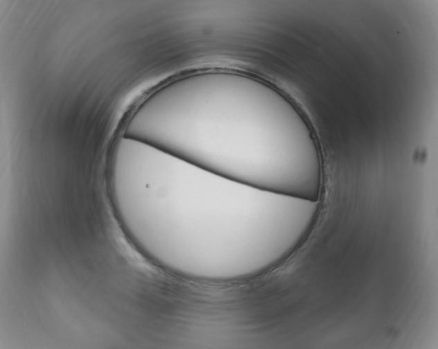 X0000111170987200907011004