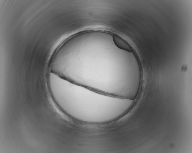 X0000111170989200907011004