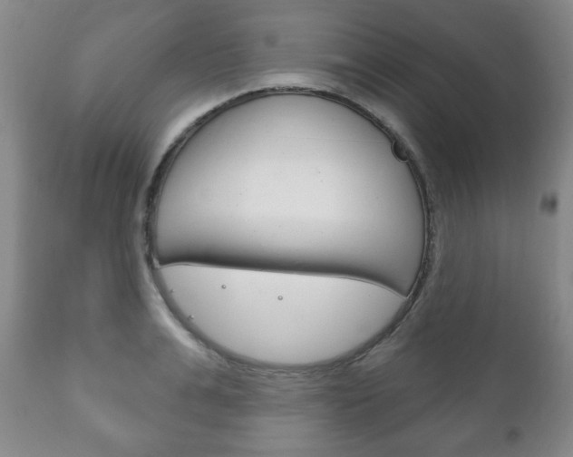 X0000111170991200907011004