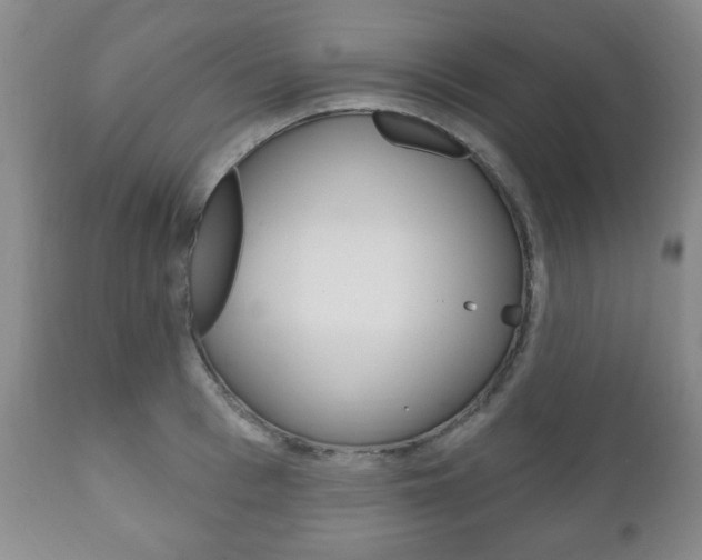 X0000111170993200907011004