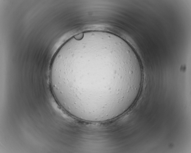 X0000111170994200907011004