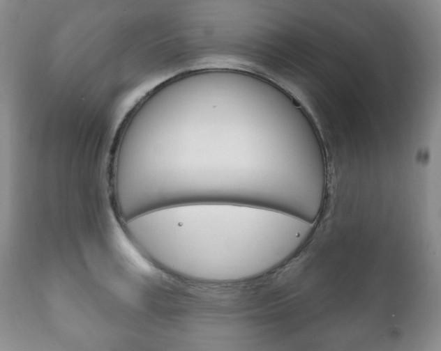 X0000111170995200907011004