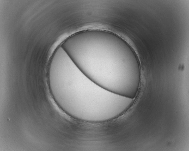 X0000111170997200907011004