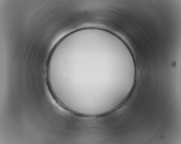 X0000111170999200907011004