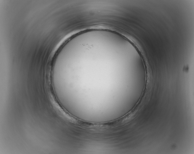 X0000111171000200907011004
