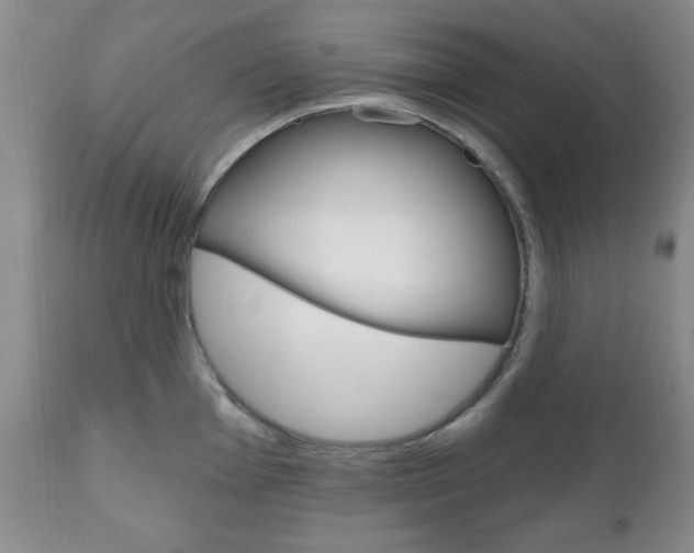 X0000111171001200907011004