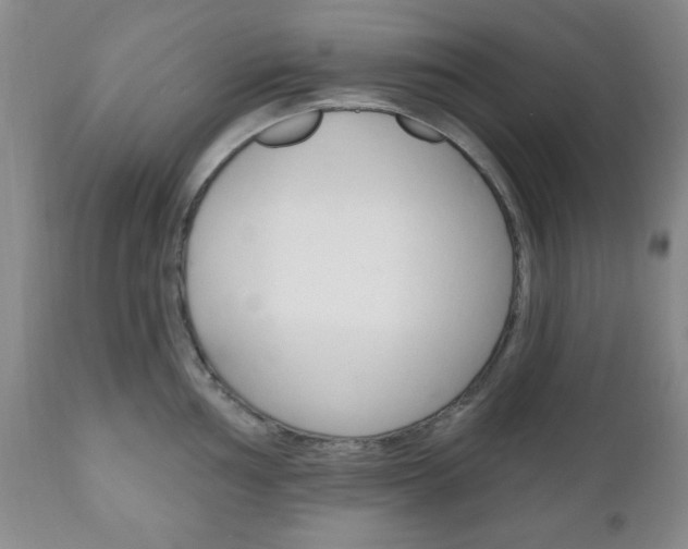 X0000111171002200907011004