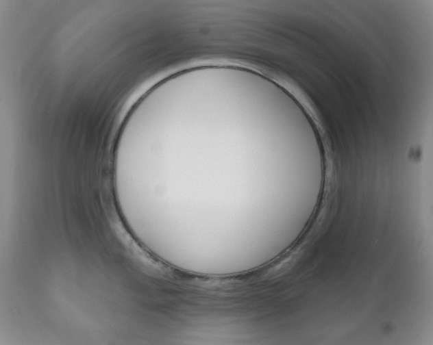 X0000111171004200907011004