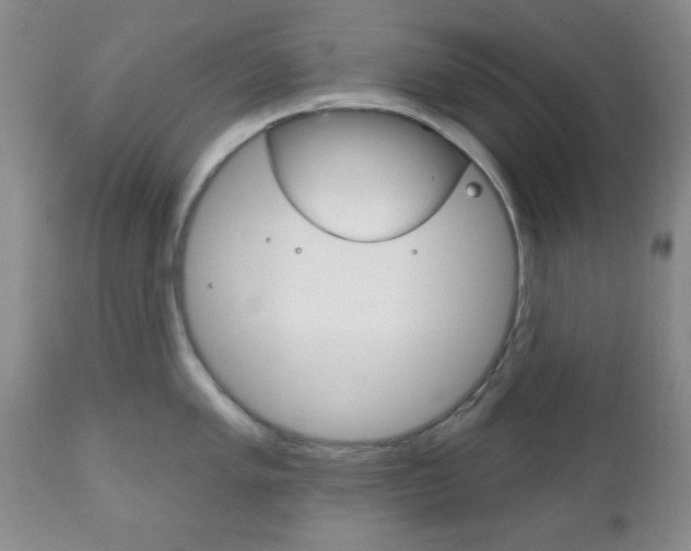 X0000111171005200907011004