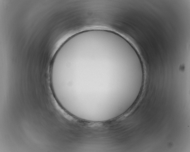 X0000111171006200907011004