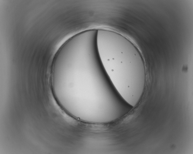 X0000111171007200907011003