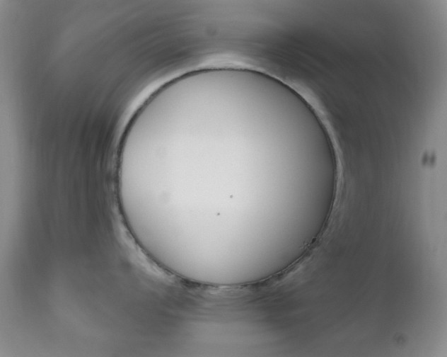 X0000111171008200907011003