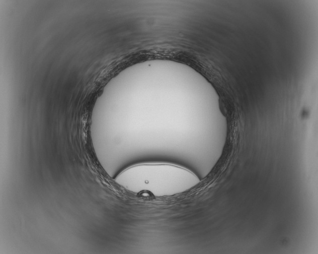 X0000111171010200907011003