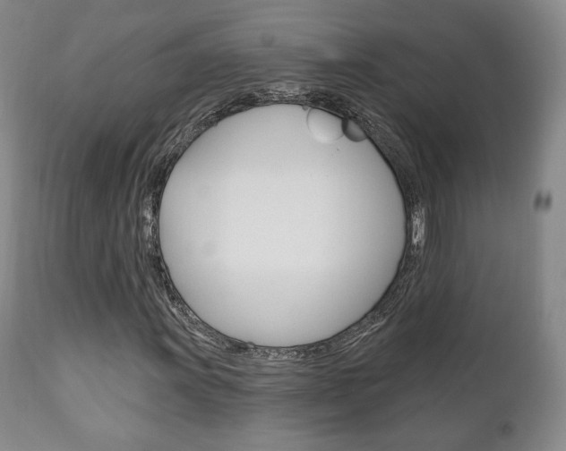 X0000111171011200907011003
