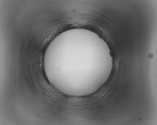 X0000111171012200907011003