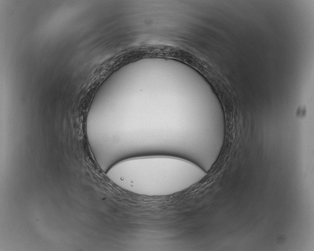 X0000111171013200907011003