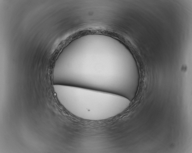 X0000111171016200907011003