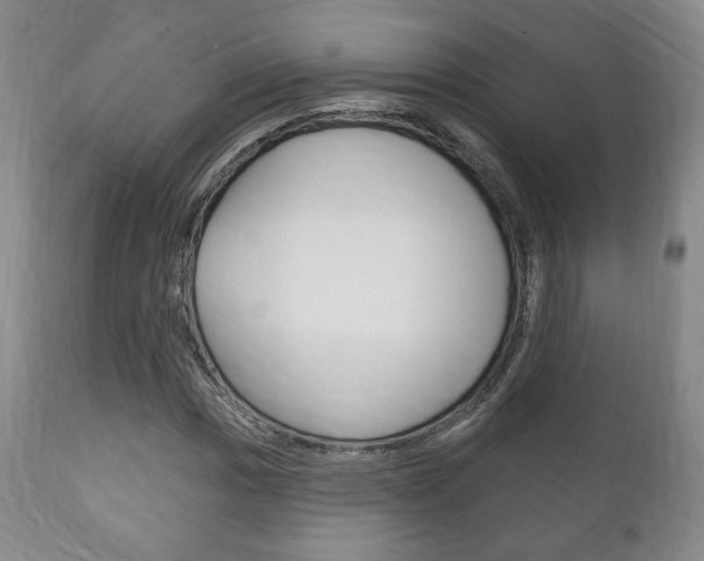 X0000111171017200907011003