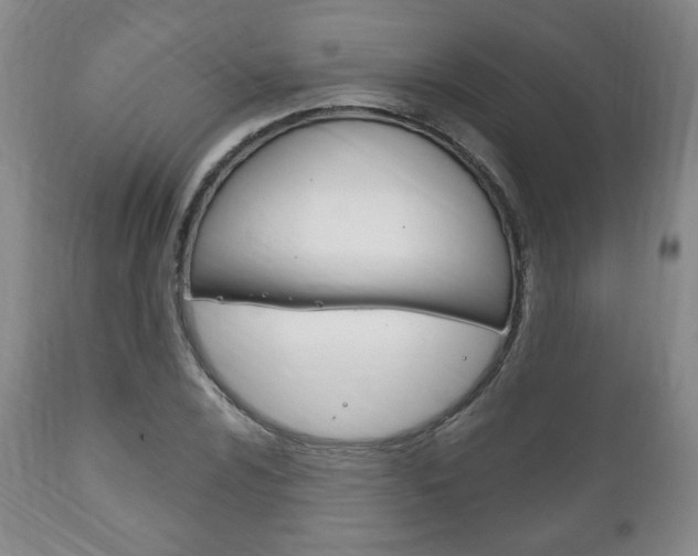 X0000111171024200907011003