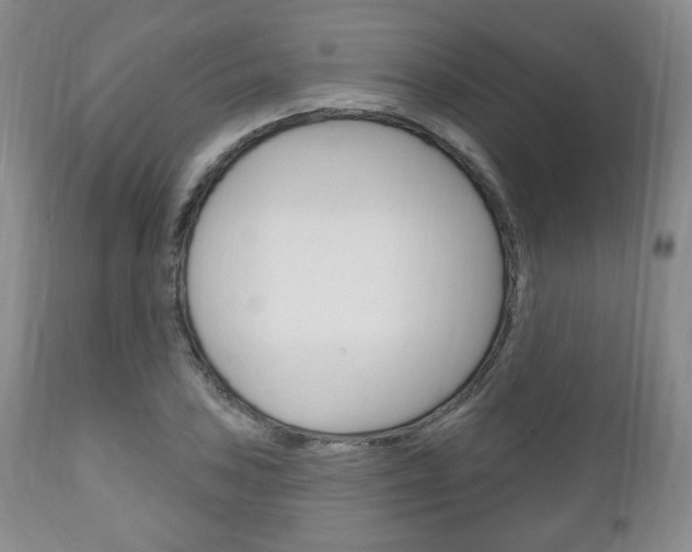 X0000111171027200907011003
