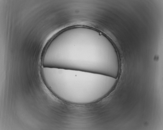 X0000111171028200907011003