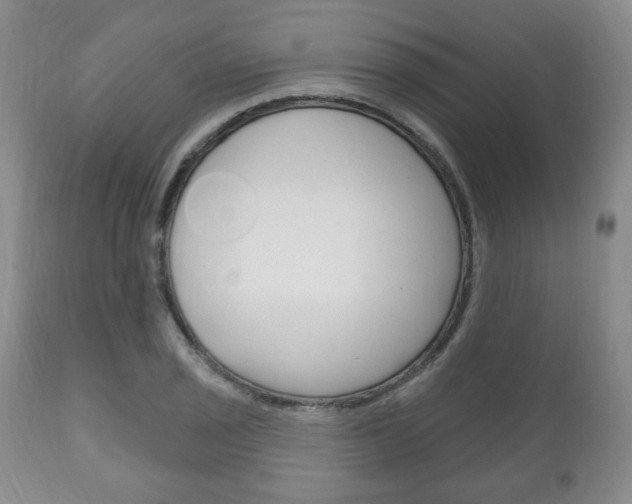X0000111171029200907011003