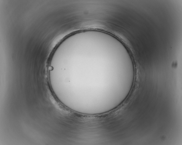 X0000111171031200907011003