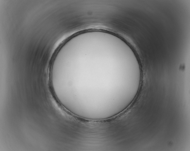 X0000111171032200907011003